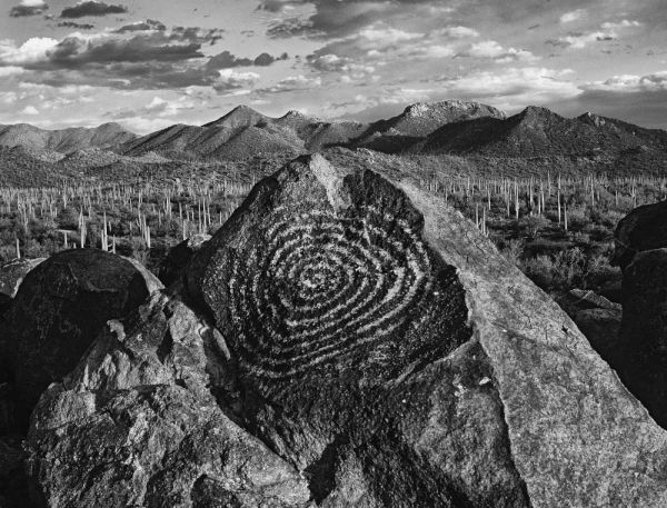 Arizona, Saguaro NP Petroglyphs on Signal Hill